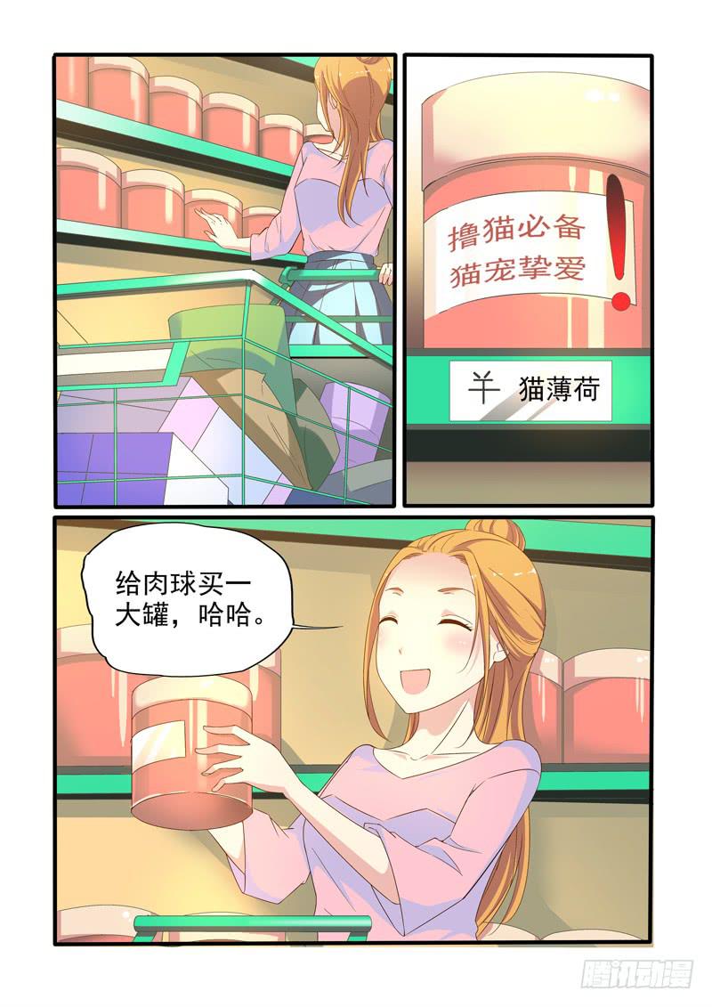 撿個肥貓變御貓 - 海鮮和雞湯！ - 2
