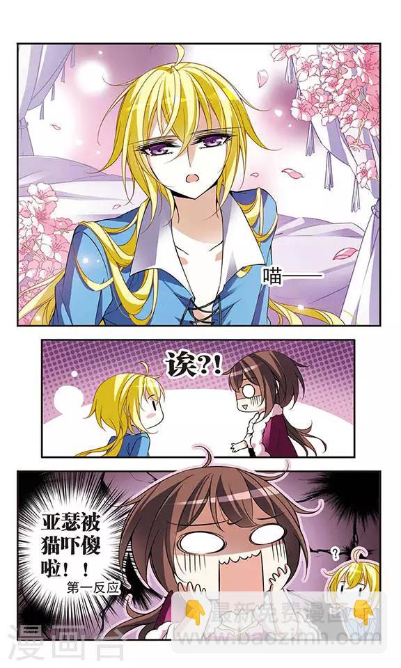 騎士幻想夜 - 第74話 變身成貓的亞瑟 - 2