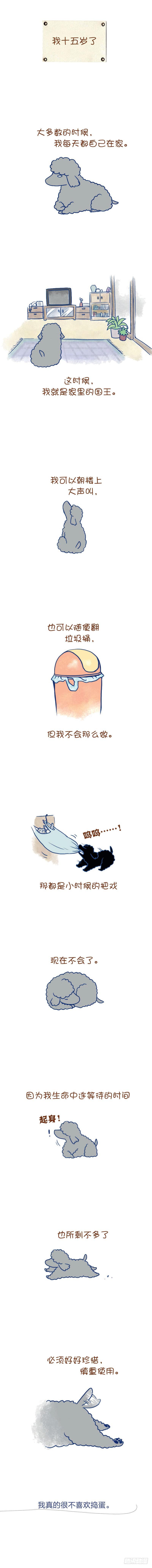 我的小貓和老狗 - 6.我十五歲了 - 1