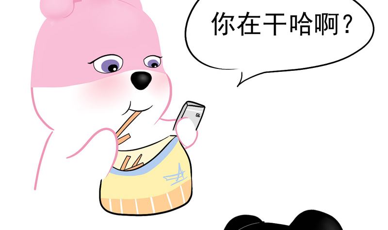 超力熊在地球上的二三事 - 我在自由飛翔 - 2