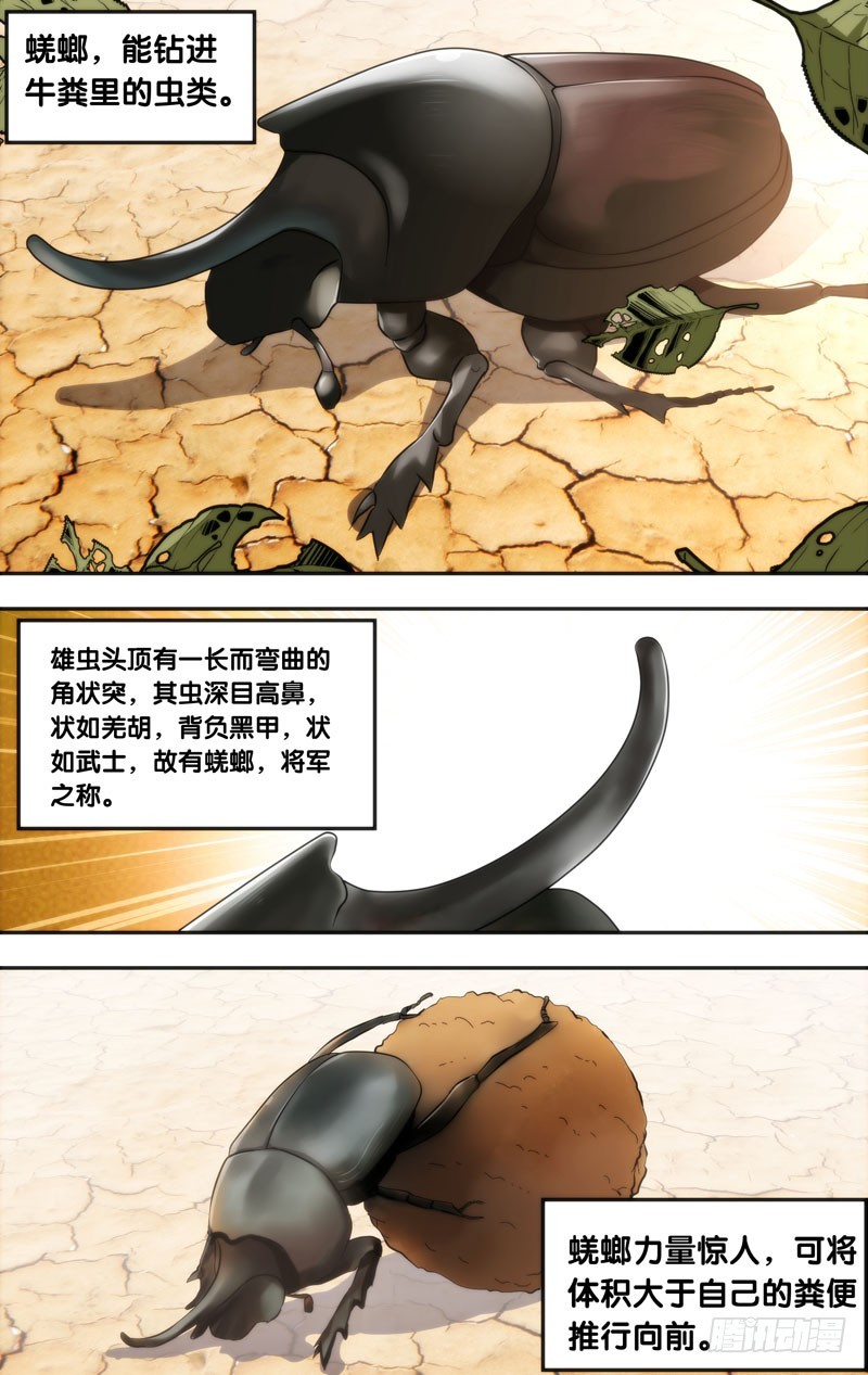 蟲生 - 12.蜣螂 - 1