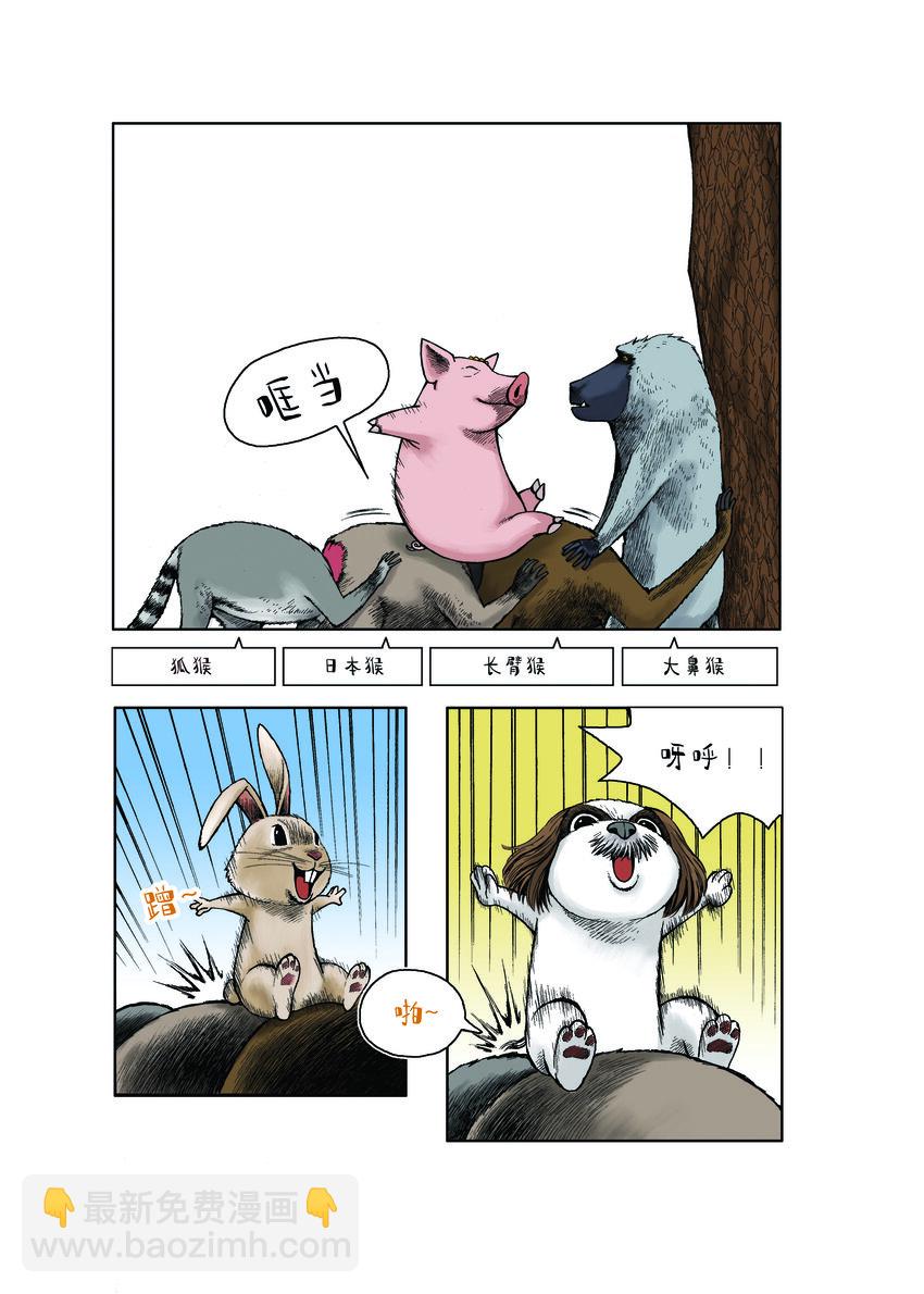 動物園真相 - 第一季 第24集 騎驢遊戲 - 2