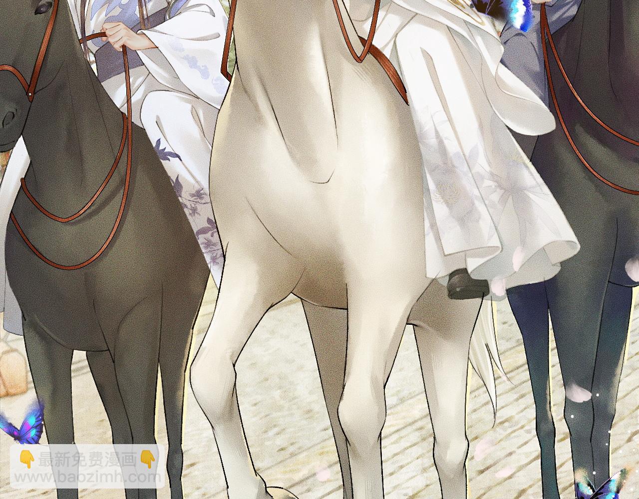 ���������İ�èʦ�� - ��13�� �ʵ���Ĺ���