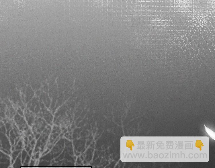 ���������İ�èʦ�� - ��5�� ������ʦ��