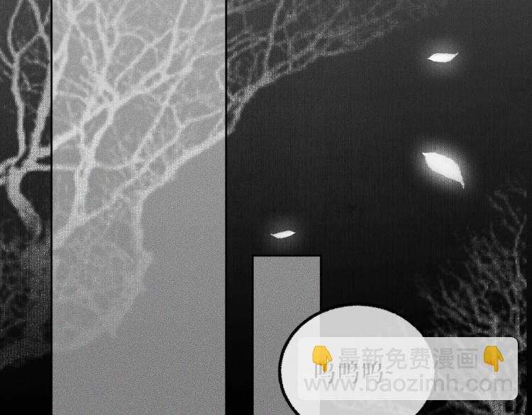 ���������İ�èʦ�� - ��5�� ������ʦ��