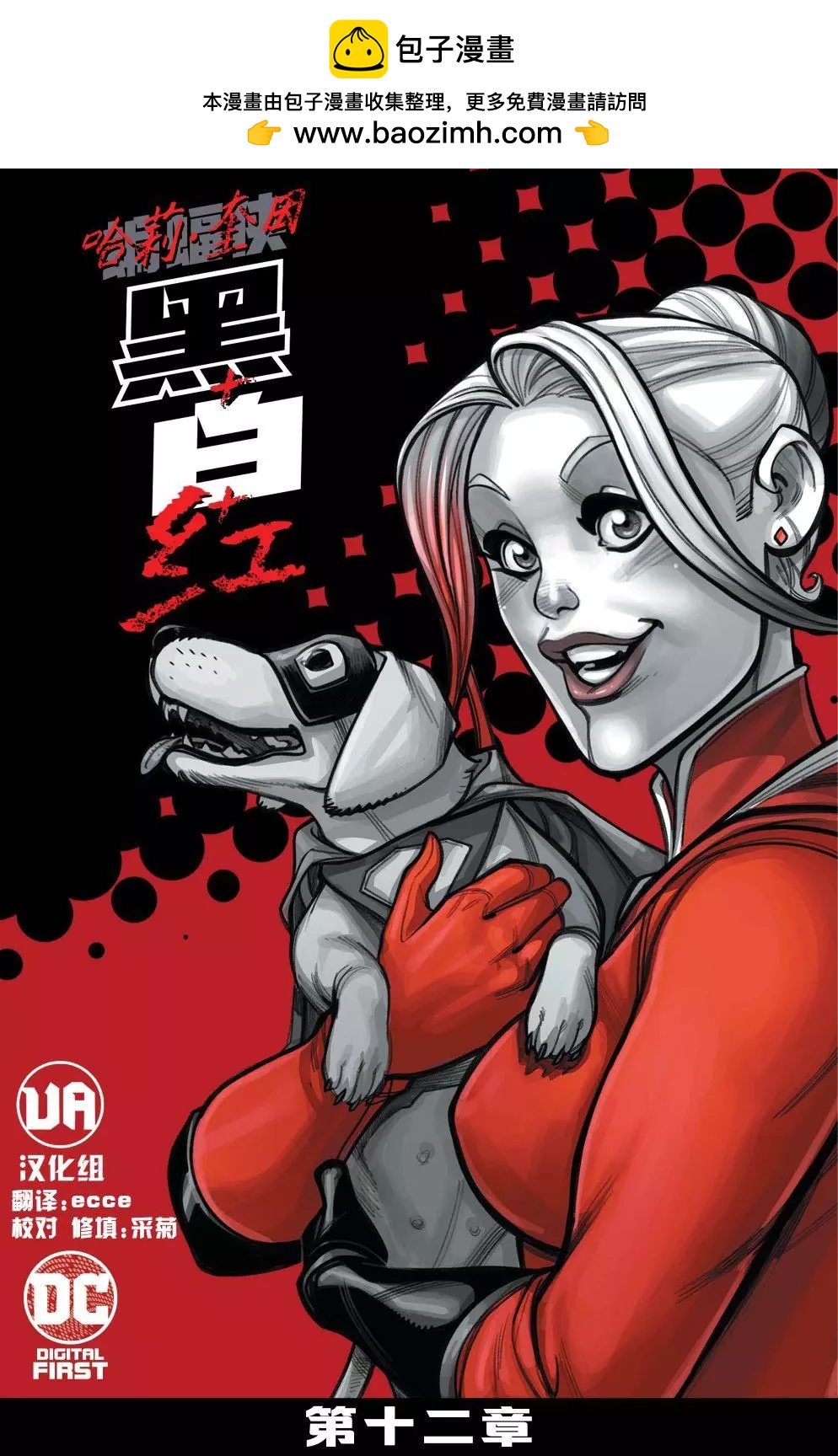 哈莉·奎因：黑白紅 - 第12卷 - 2