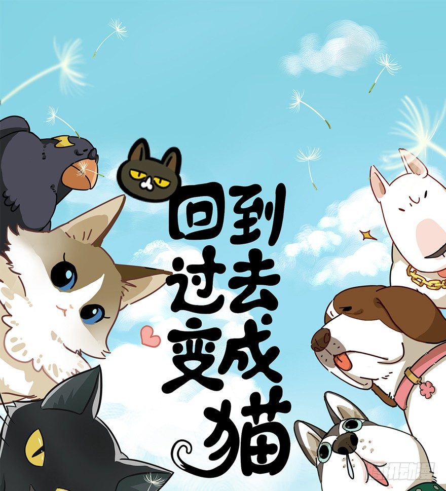 回到過去變成貓外傳 - 第112爪 不拋棄不放棄 - 1