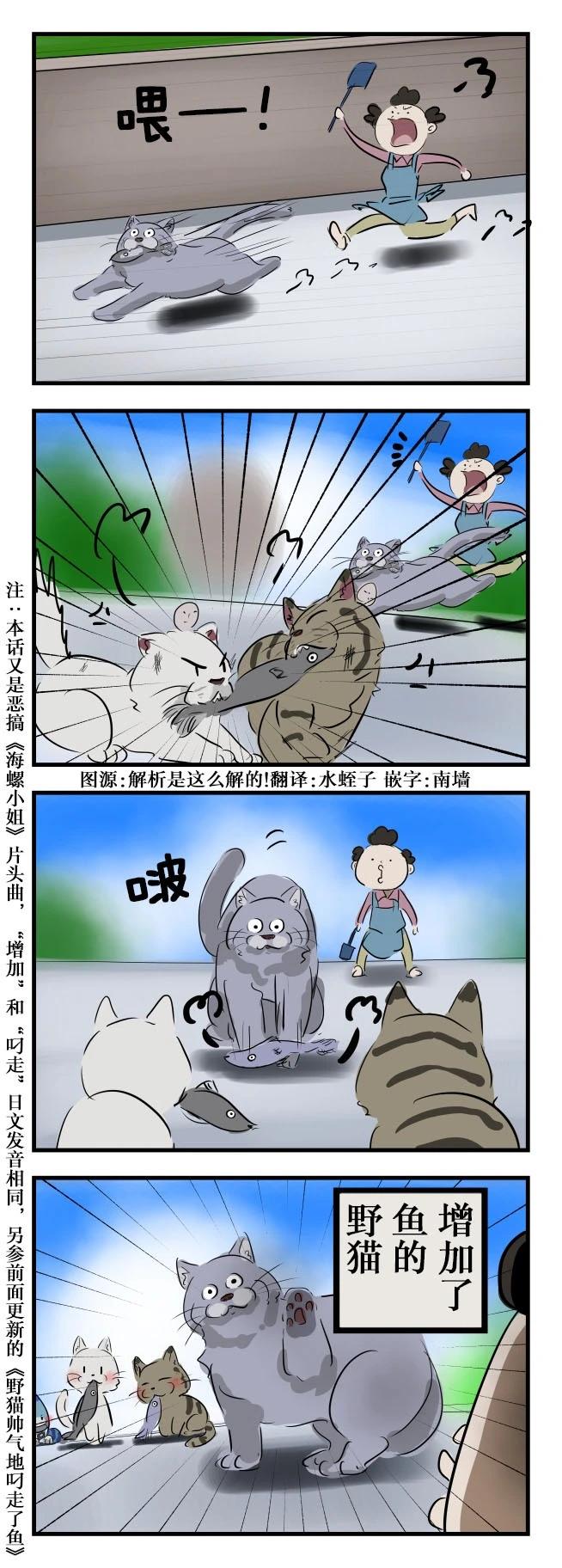 カコミスル老師四格合集 - 野貓 - 1