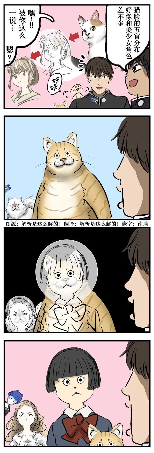 カコミスル老師四格合集 - 由貓而來 - 1