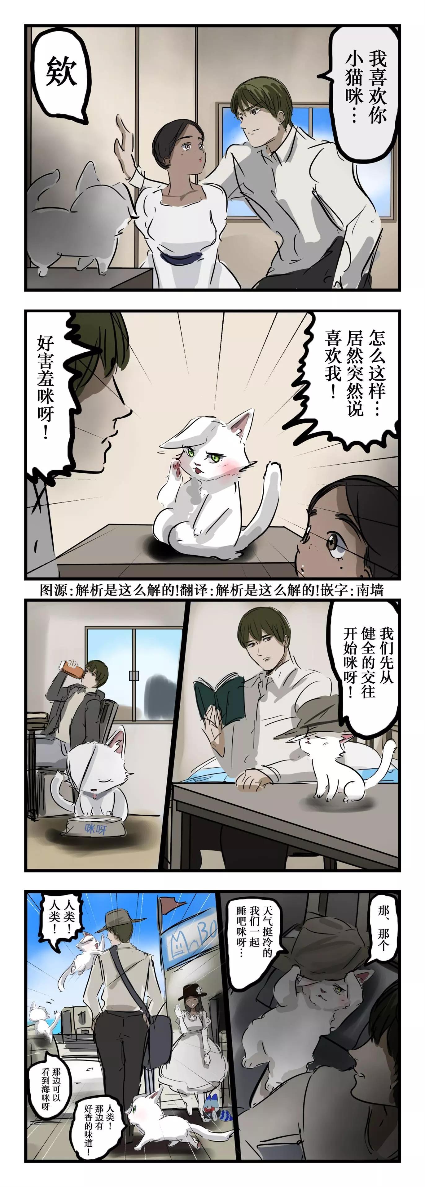 カコミスル老師四格合集 - 小貓咪 - 1