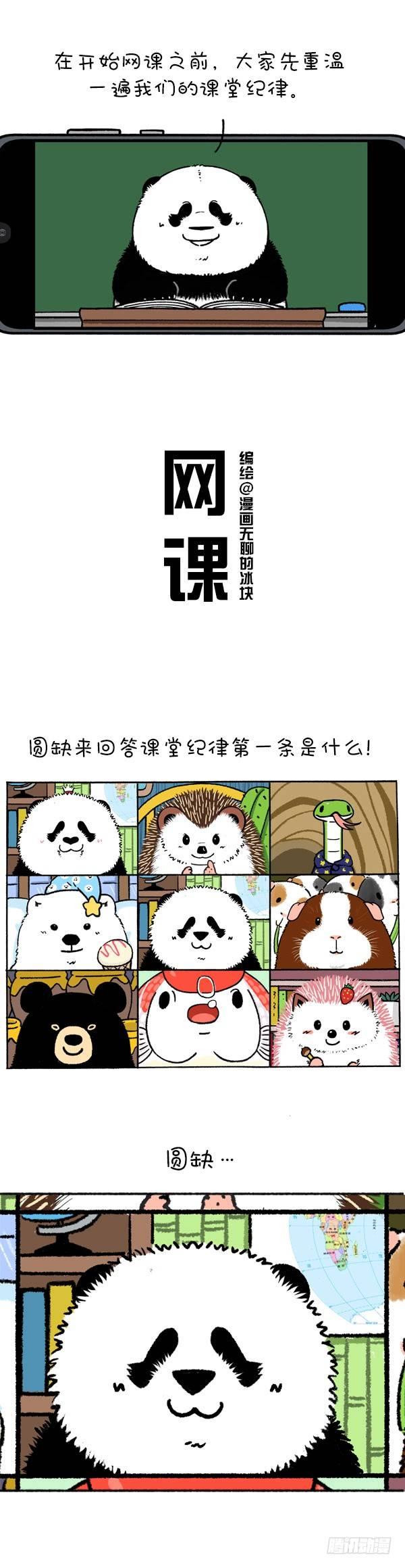 快把動物放進冰箱 - 219圓寶老師網課翻車現場 - 1