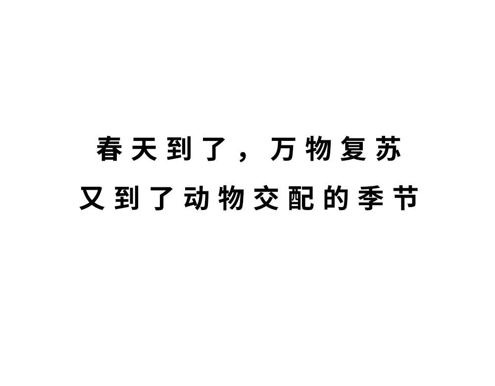 林大發發了嗎 - 廣東人的夜晚：啪啪啪啪啪啪啪啪(1/2) - 1