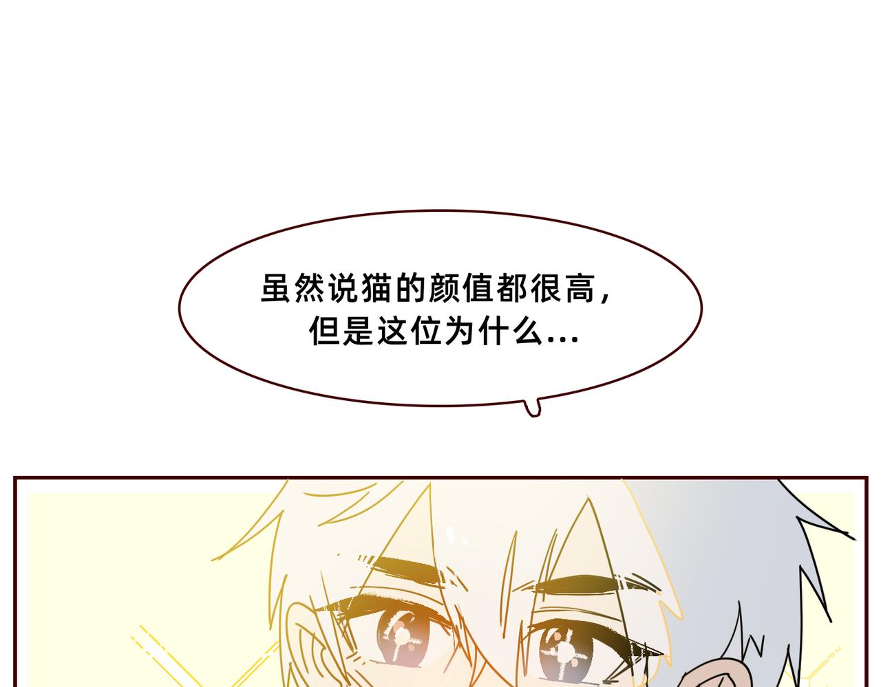 流浪貓好會 - 三花巧克狸(1/2) - 3