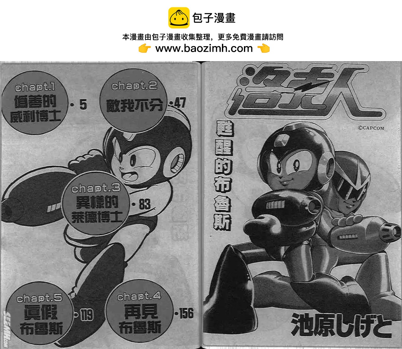 洛克人 - 甦醒的布魯斯(1/2) - 2