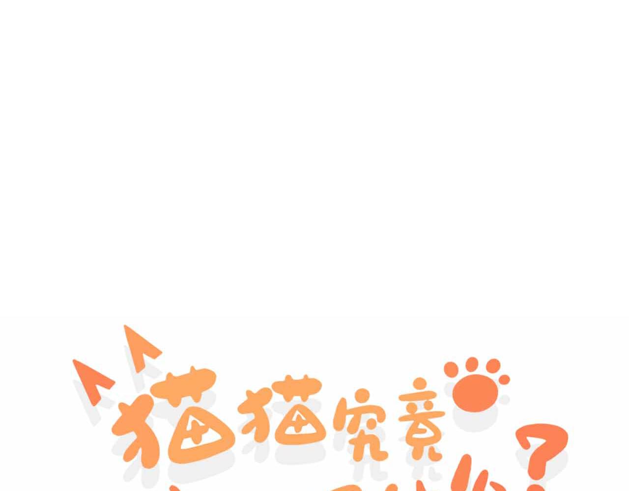 貓貓究竟在想什麼？ - 貓貓摔倒了！！(1/3) - 1