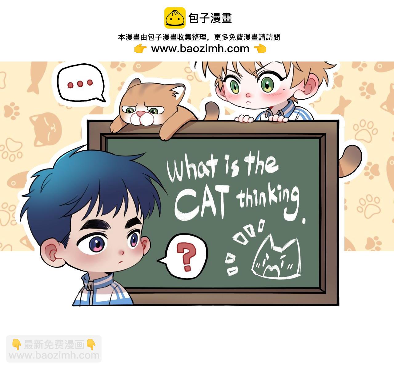 貓貓究竟在想什麼？ - 第14話 貓貓失去了一些東西(1/3) - 2