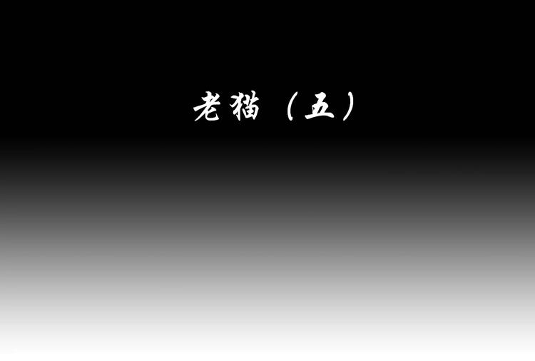 夢鏡筆談 - 第5話 死去的杜小麗(1/3) - 3