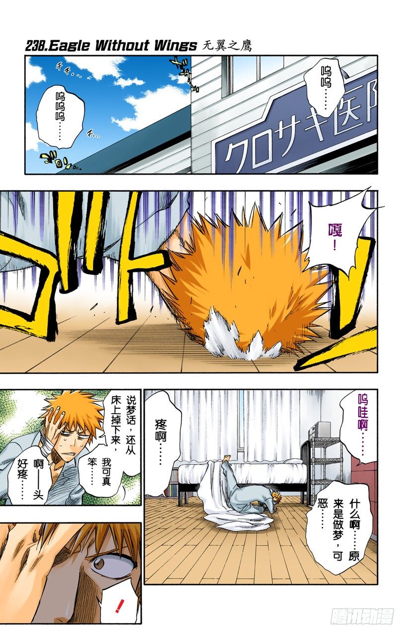死神/BLEACH（全綵版） - 無翼之鷹 - 1