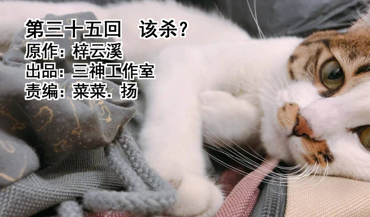 我家太子妃超兇的 - 第三十五回 該殺？(1/2) - 1