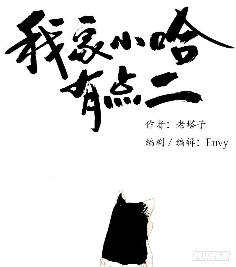 我家小哈有點二 - 救駕！有刺客！ - 1