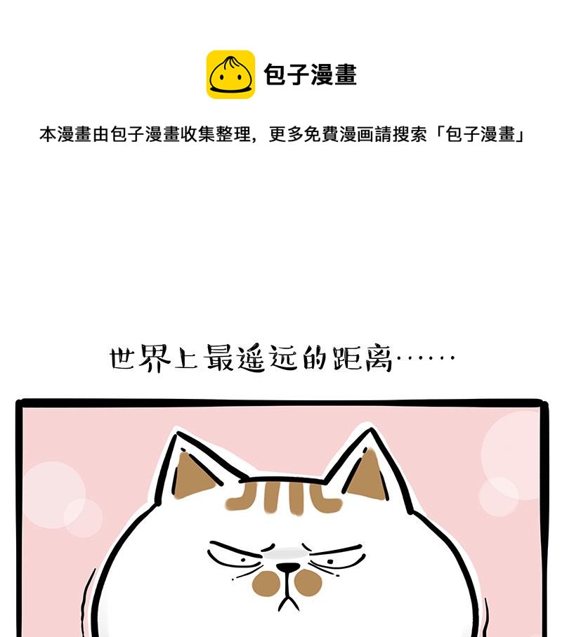 吾皇巴扎黑 - 第320話 貓孵魚(1/2) - 1