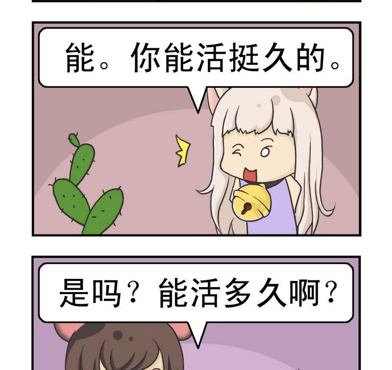 像竹子 - 4 算命 - 1