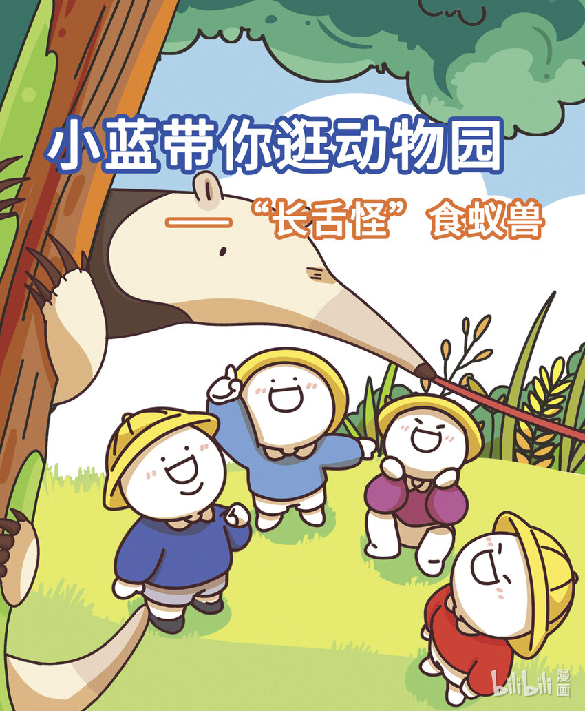 小藍帶你逛動物園 - 第八章 “長舌怪”食蟻獸 - 1