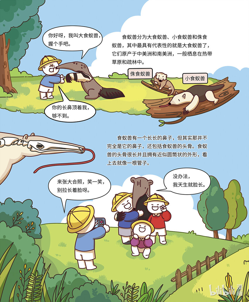 小藍帶你逛動物園 - 第八章 “長舌怪”食蟻獸 - 1