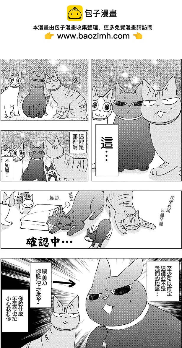 希鎌倉與貓的記事簿 - 第02回 - 2