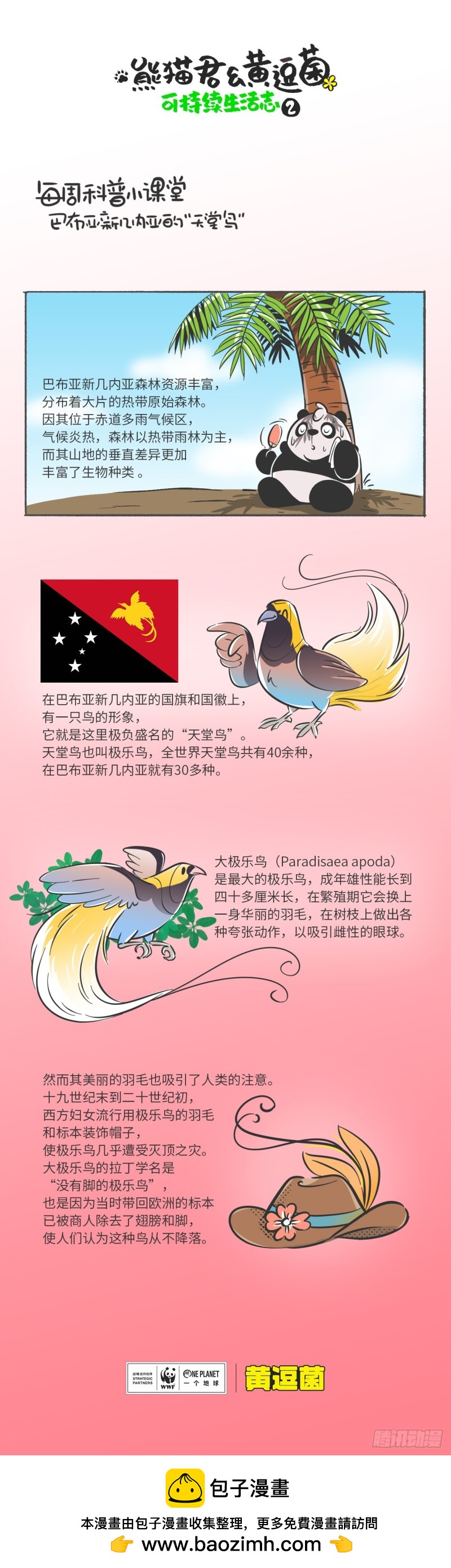 熊貓君和黃逗菌可持續生活志II - 科普番外——“天堂鳥” - 1