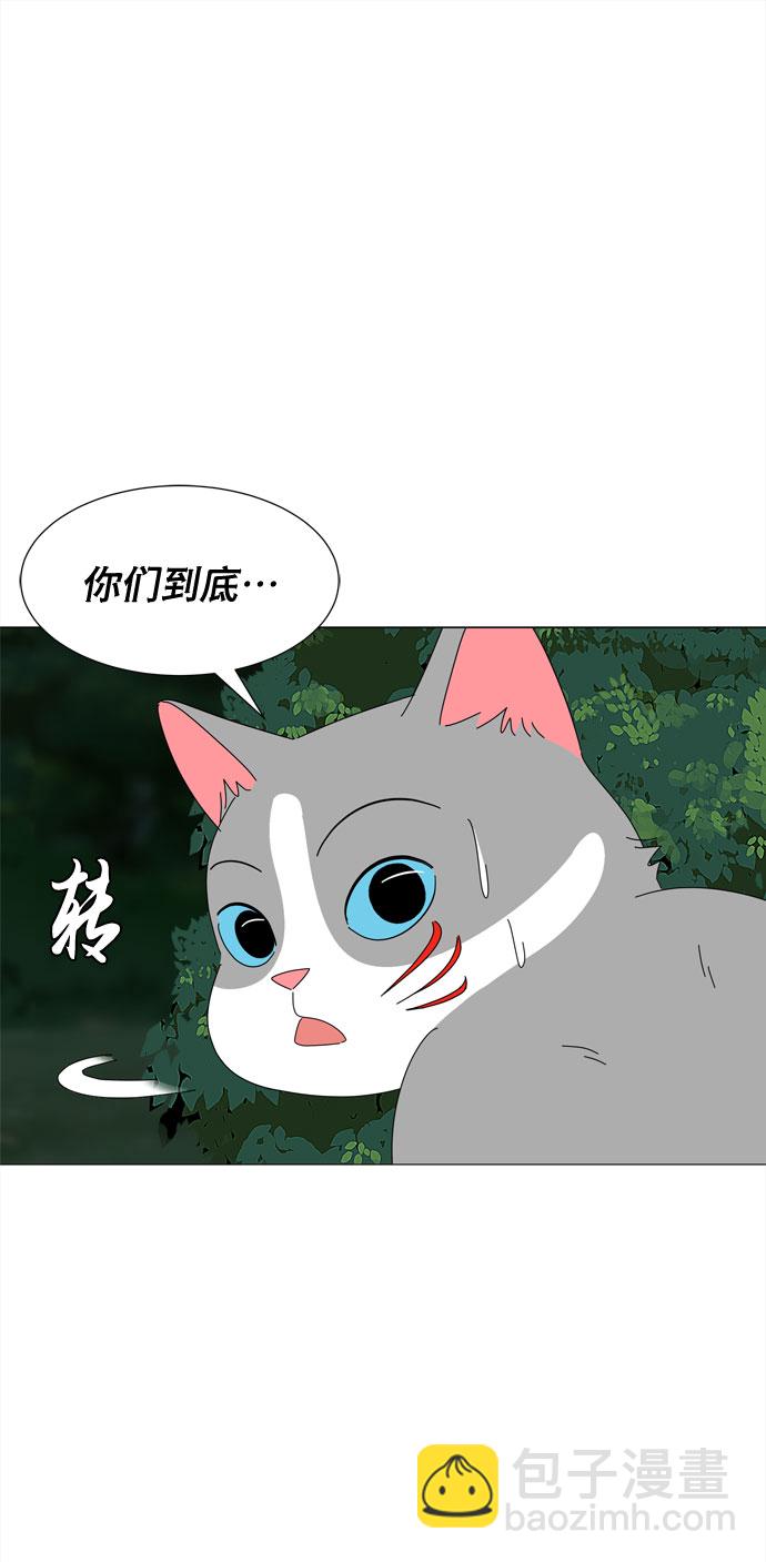 野生天使保護區域 - 第12話 時機 - 2