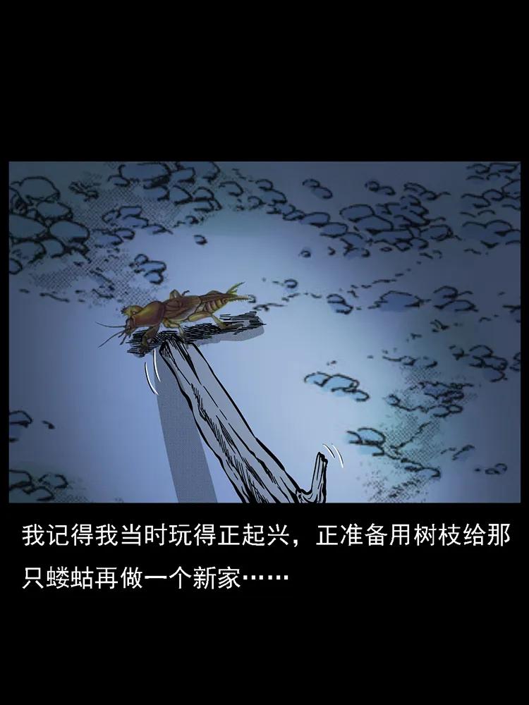 幽冥詭匠 - 番外2 之保家白仙(2/2) - 2